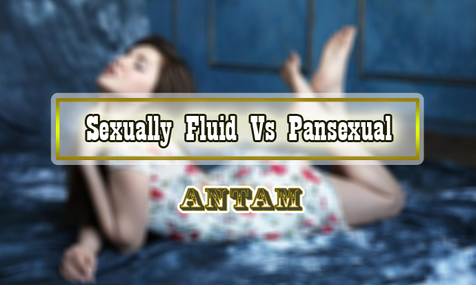 Sexually Fluid Vs Pansexual