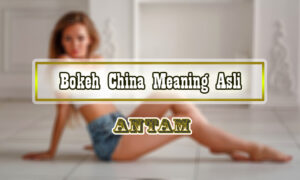 Bokeh-China-Meaning-Asli