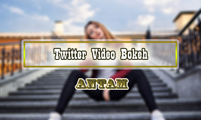 Twitter-Video-Bokeh