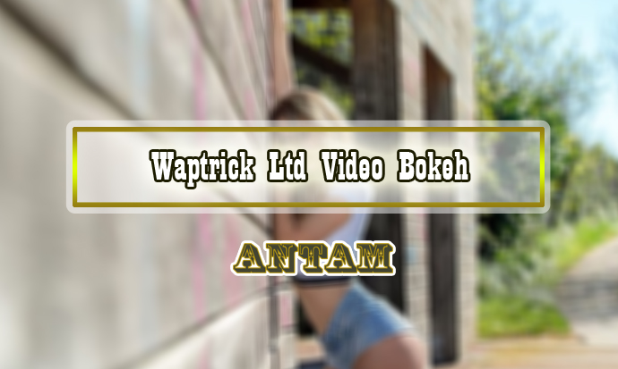 Waptrick-Ltd-Video-Bokeh