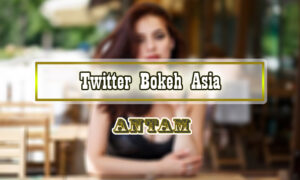 Twitter-Bokeh-Asia