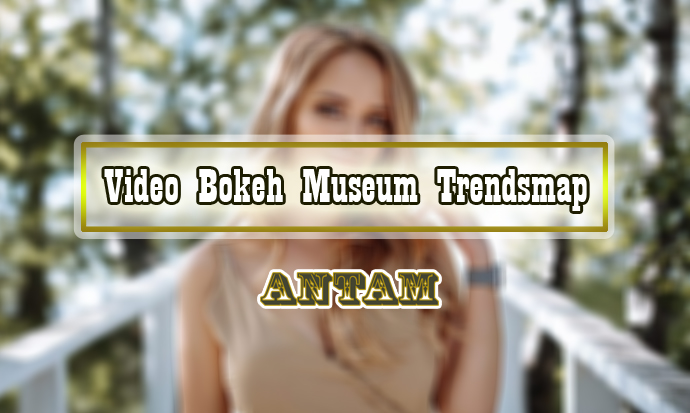 Video-Bokeh-Museum-Trendsmap