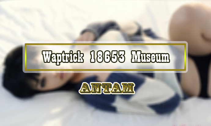 Waptrick 18653 Museum