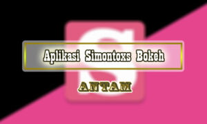 Aplikasi-Simontoxs-Bokeh