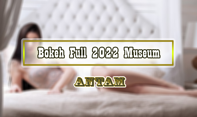 Bokeh-Full-2022-Museum-
