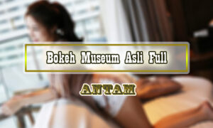 Bokeh-Museum-Asli
