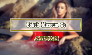 Bokeh-Museum-Se