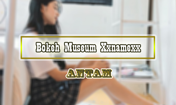 Bokeh-Museum-Xxnamexx