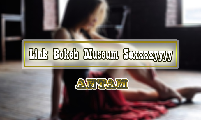 Link-Bokeh-Museum-Sexxxxyyyy