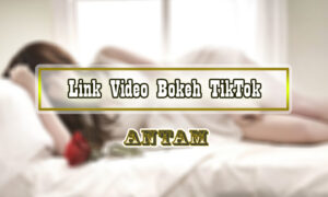 Link Video Bokeh TikTok