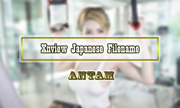 Xnview-Japanese-Filename