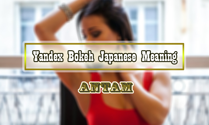 Yandex-Bokeh-Japanese-Meaning
