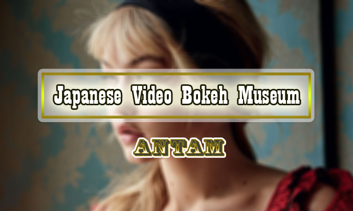 Japanese-Video-Bokeh-Museum