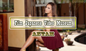 Film-Japanese-Video-Museum