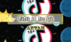 TikTok-18-Plus-Apk