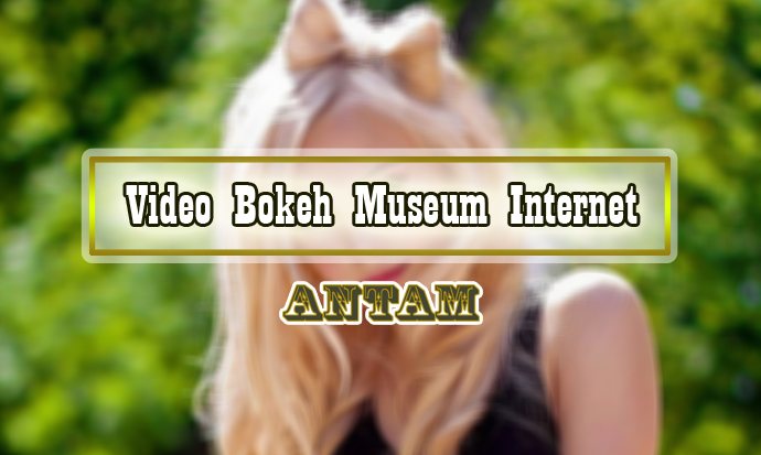 Video-Bokeh-Museum-Internet