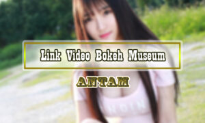 Link-Video-Bokeh-Museum