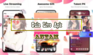 Gula-Live-Apk